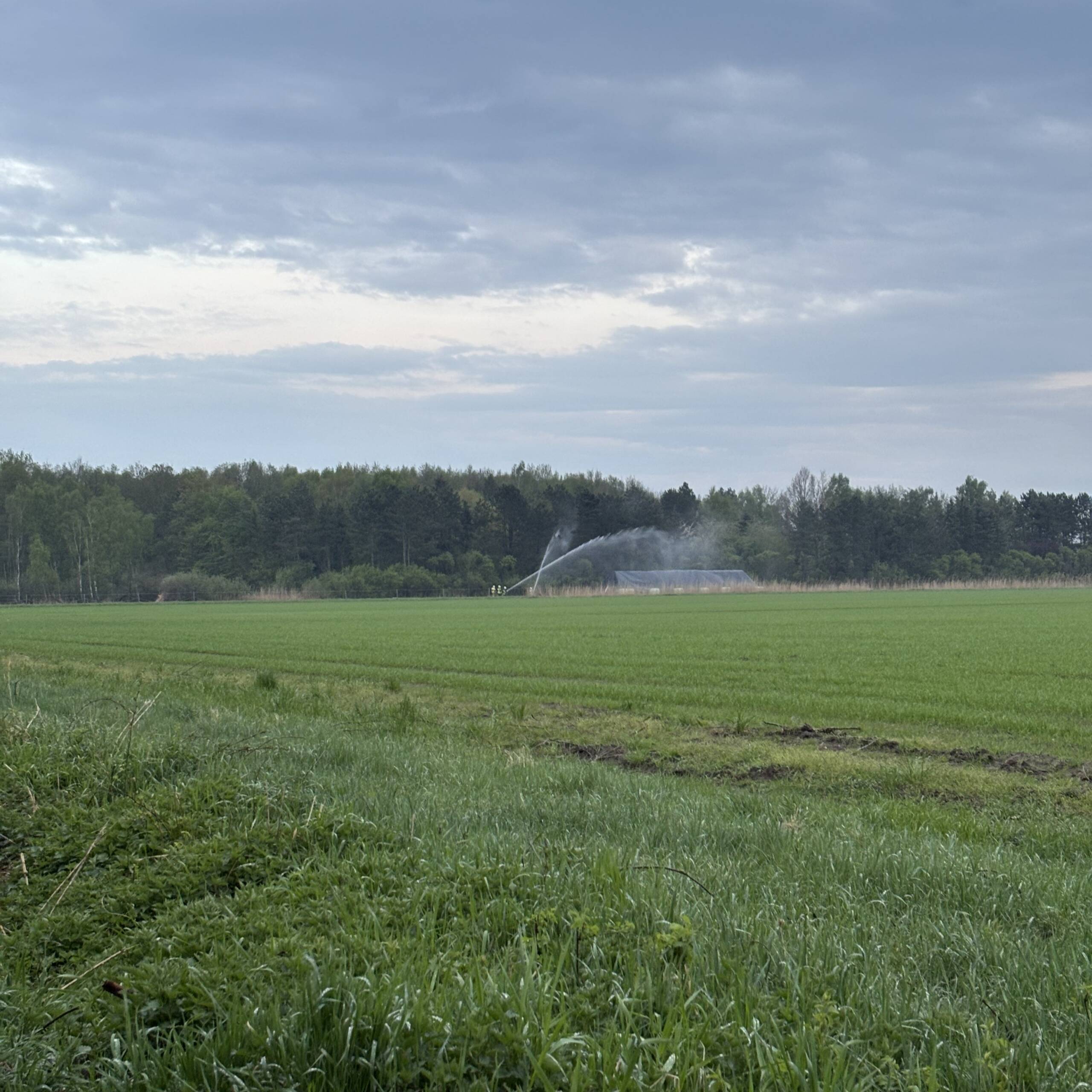 Mehrere Wasserstrahlen auf ein Feld gerichtet