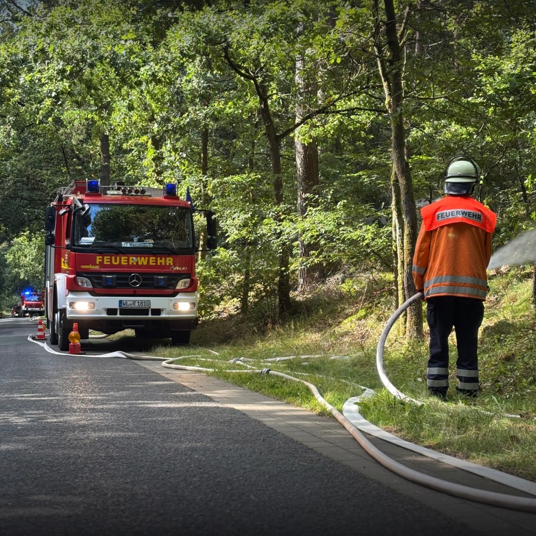 Ein TLF im Wald und ein Feuerwehrmann im Vordergrund