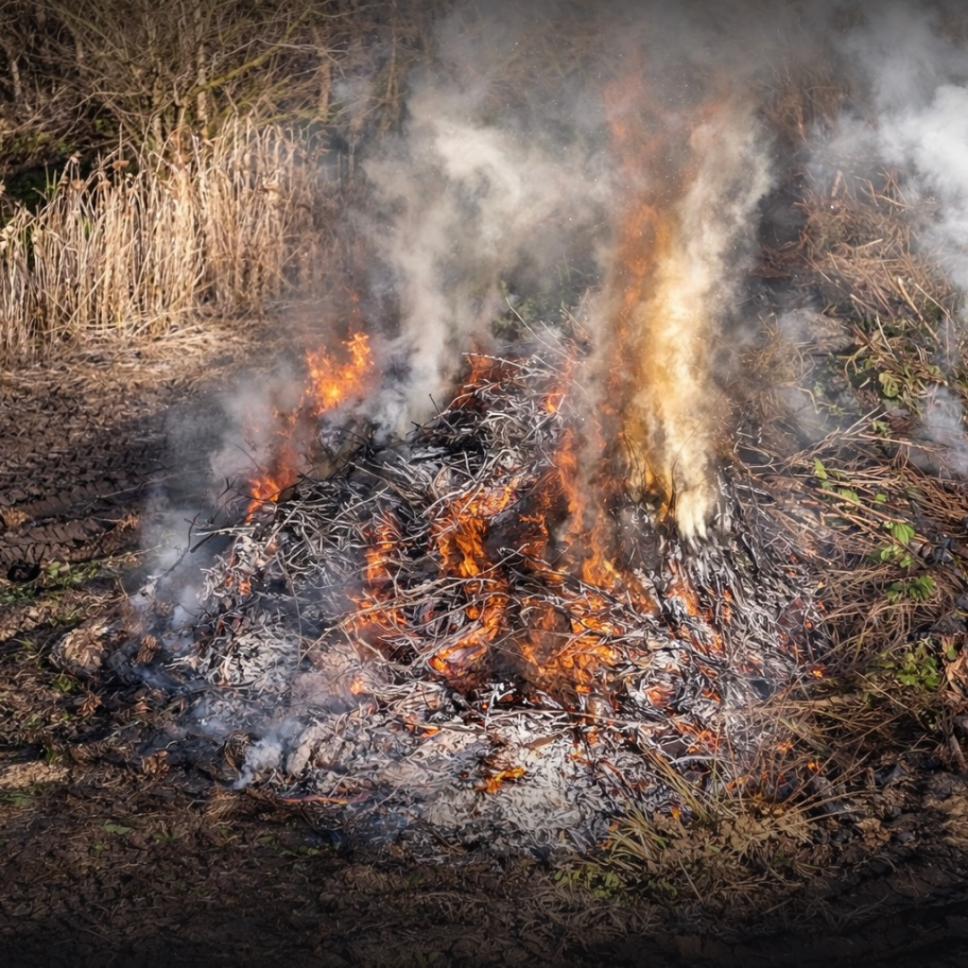 Osterfeuer 2026 in Schwinde
