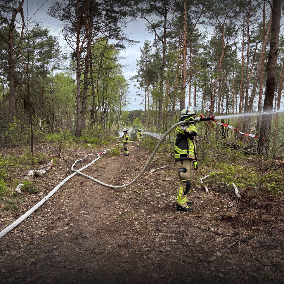 Feuerwehrmann löscht Waldbrand