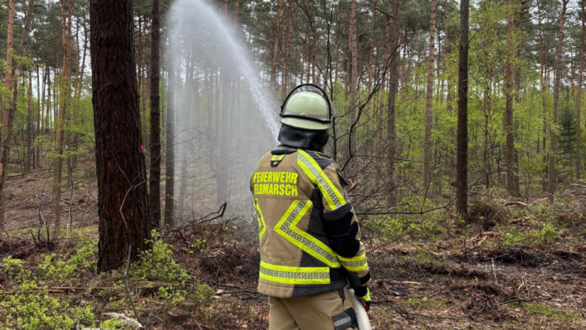 Feuerwehrmann löscht Waldbrand