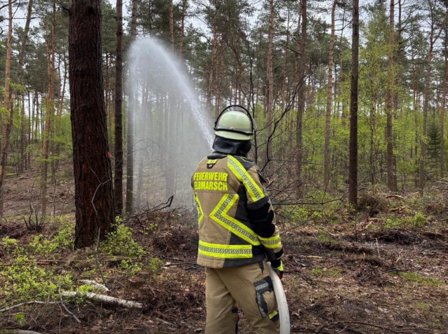 Feuerwehrmann löscht Waldbrand