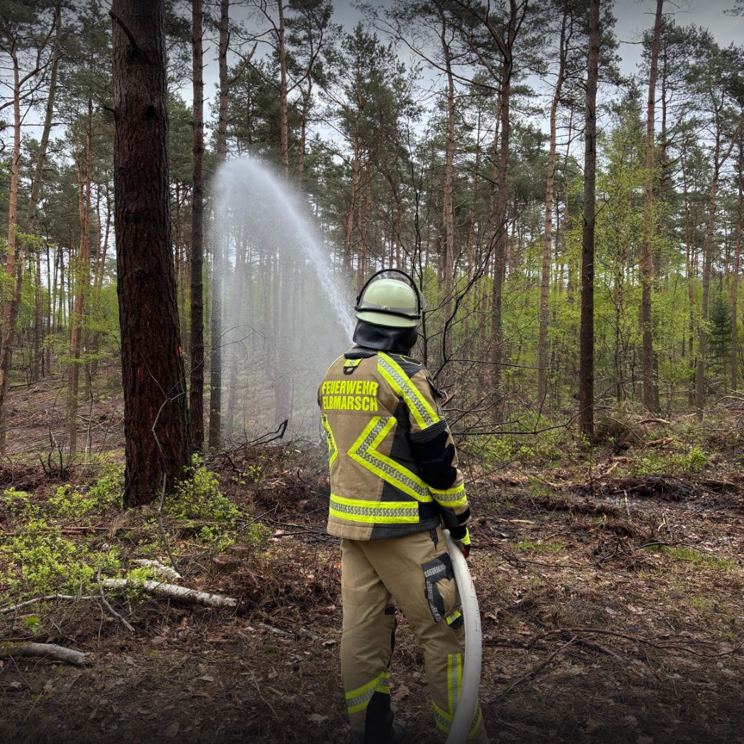 Feuerwehrmann löscht Waldbrand
