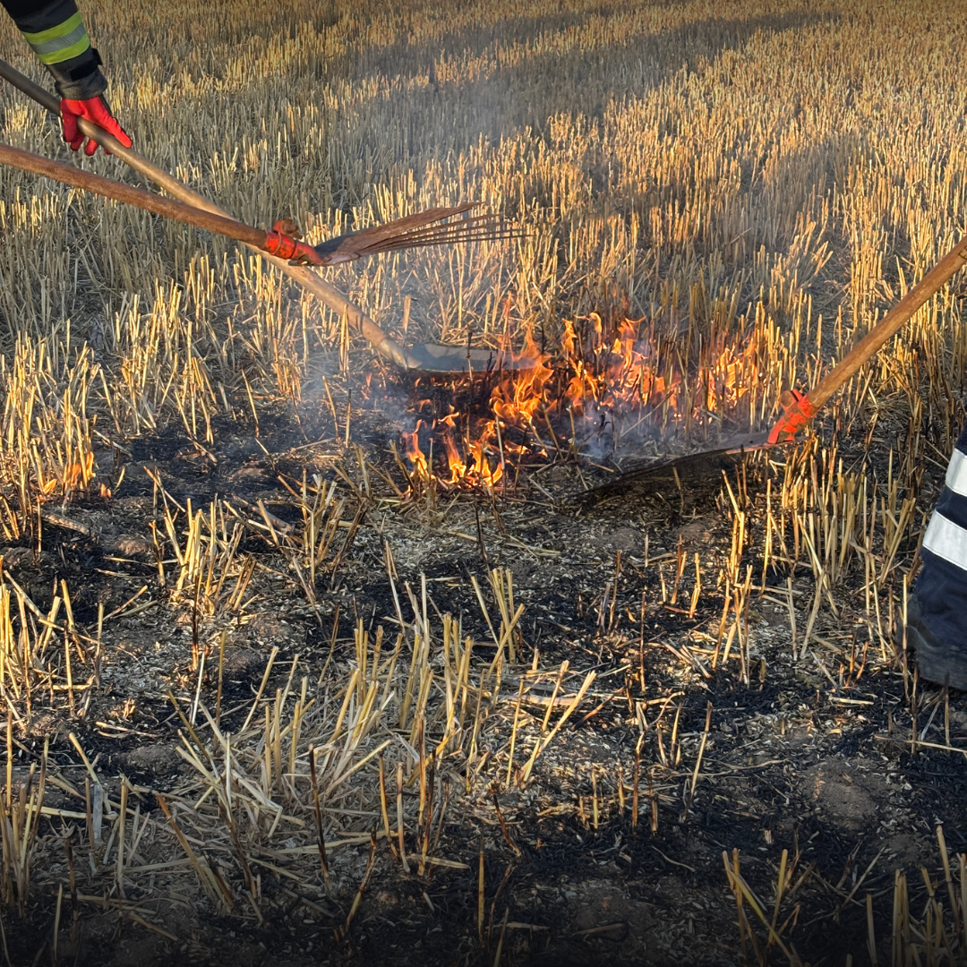 Feuerwehrmann löscht einen Feldbrand