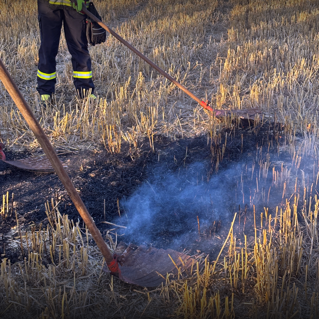 Feuerwehrmann löscht einen Feldbrand