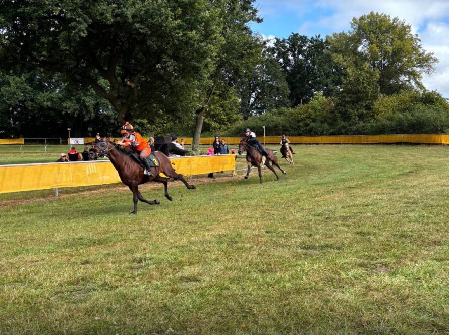 Reiter mit Pferden beim Stover Rennen